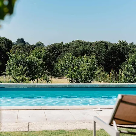 Domaine De La Peyrine - Huppe *